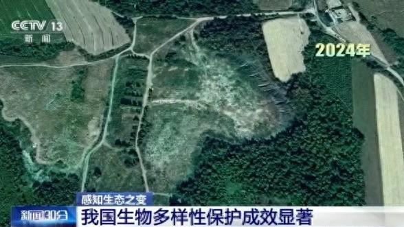 财米网 感知生态之变丨从6.7万到14.8万种见证生物多样性保护中国答卷