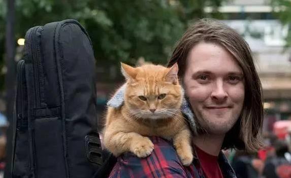 广证策略 街头艺人落魄无人问，一只流浪猫相伴，他的人生却逆袭