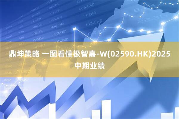 鼎坤策略 一图看懂极智嘉-W(02590.HK)2025中期业绩