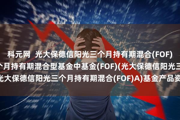 科元网  光大保德信阳光三个月持有期混合(FOF)A: 光大保德信阳光三个月持有期混合型基金中基金(FOF)(光大保德信阳光三个月持有期混合(FOF)A)基金产品资料概要